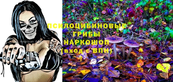первитин Гусев