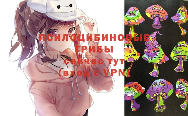 синтетический гашиш Гусь-Хрустальный