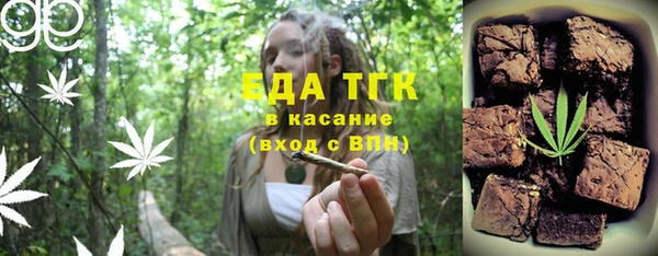 первитин Гусев