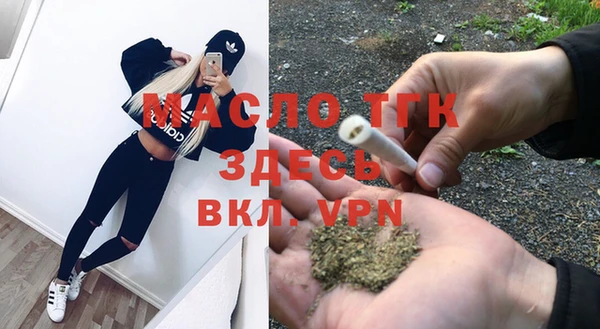 первитин Гусев