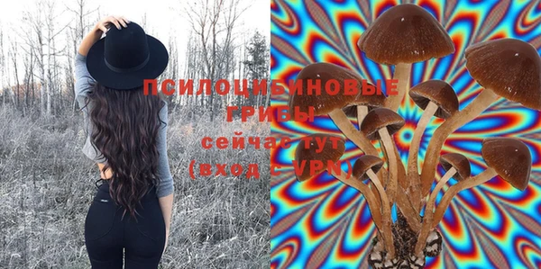 первитин Гусев