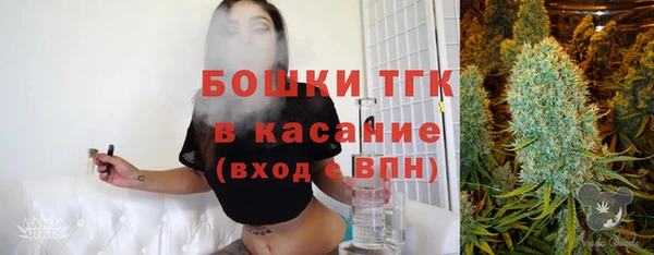первитин Гусев