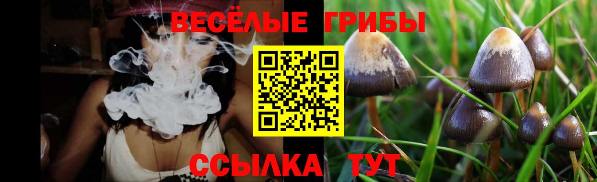 Псилоцибиновые грибы прущие грибы  Галлюциногенные грибы Psilocybe  Вход с VPN  Иркутск 